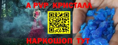 spice Кудрово